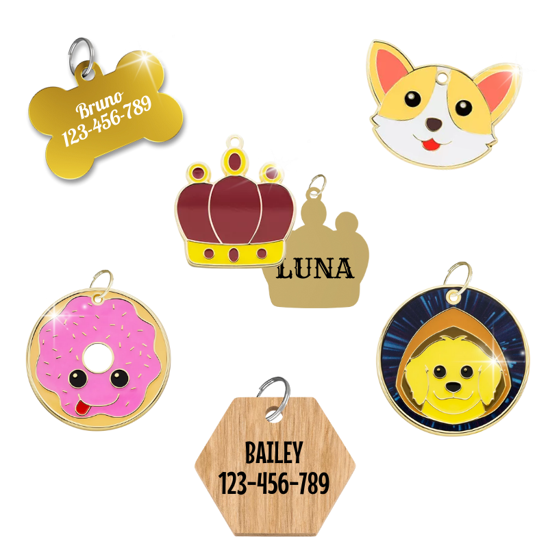 Médailles d’identification personnalisées pour chien avec formes décoratives et nom gravé